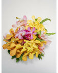 Tropical Orchid A la Carte Bridesmaid Bouquet - Green Fresh Florals + Plants