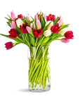 Tulip Lovers Delight - Green Fresh Florals + Plants