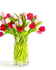 Tulip Lovers Delight - Green Fresh Florals + Plants
