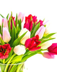 Tulip Lovers Delight - Green Fresh Florals + Plants