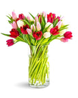 Tulip Lovers Delight - Green Fresh Florals + Plants