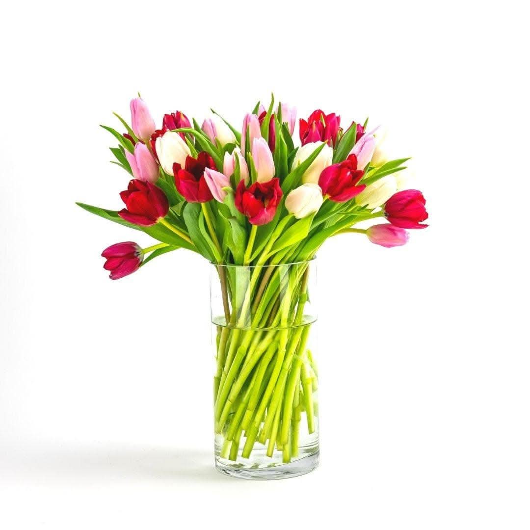 Tulip Lovers Delight - Green Fresh Florals + Plants