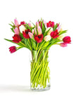 Tulip Lovers Delight - Green Fresh Florals + Plants