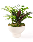 Urban Jungle Planting - Green Fresh Florals + Plants
