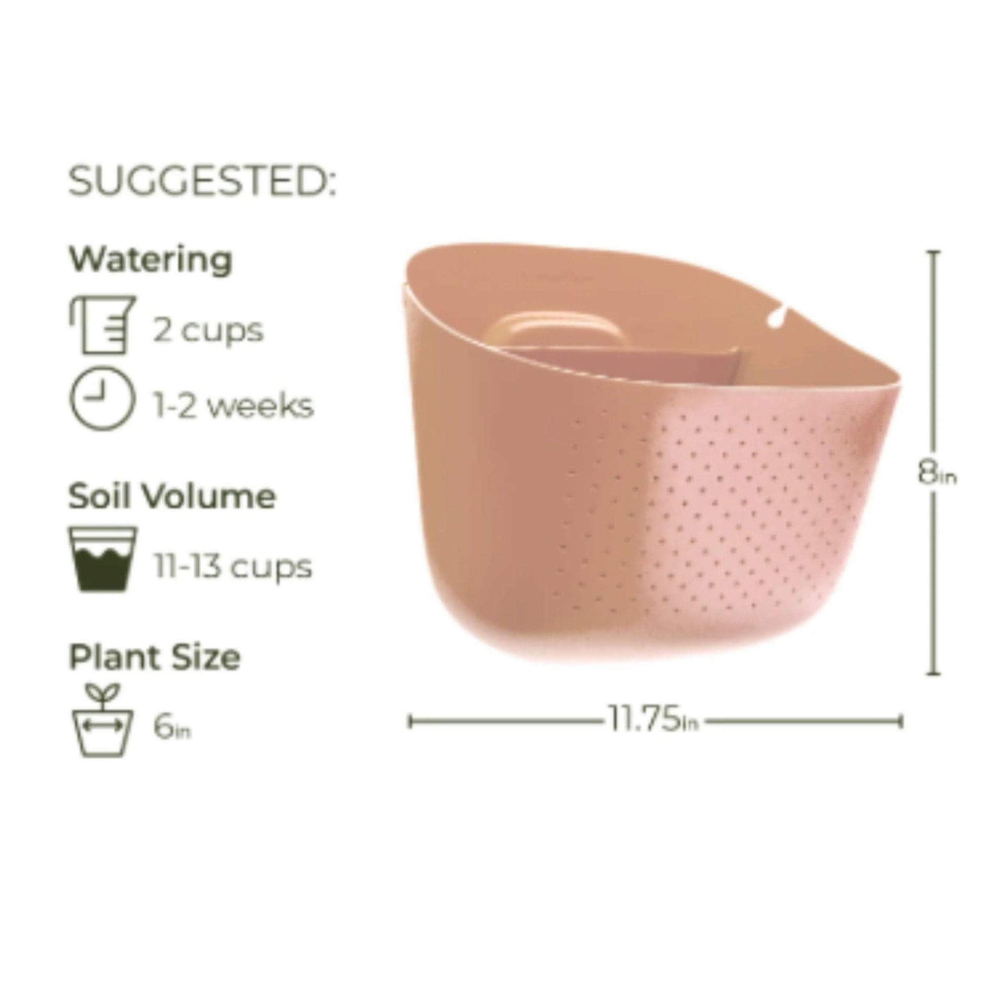Wally Eco Living Wall Planter - Green Fresh Florals + Plants
