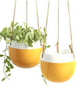 Yellow Ceramic Hanging Pot - Green Fresh Florals + Plants