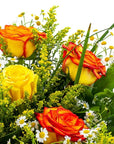 Yellow Ombre Long-Stem Roses - Green Fresh Florals + Plants