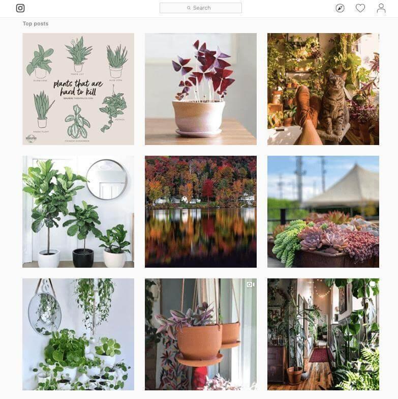 20 Must-Follow Plant Instagrammers - Green Fresh Florals + Plants