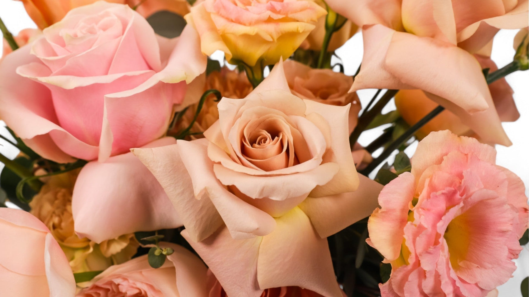 Best Alternatives to the Red Rose - Green Fresh Florals – Green Fresh ...