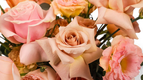 Romantic Alternatives to the Red Rose