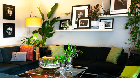 Style Your San Diego Home with Pots + Plants - Green Fresh Florals + Plants