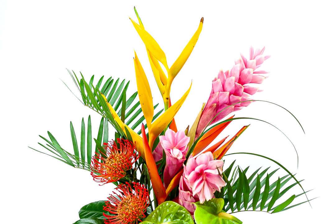Exotic Tropical Flowers Ideal for Giving - Green Fresh Florals + Plants