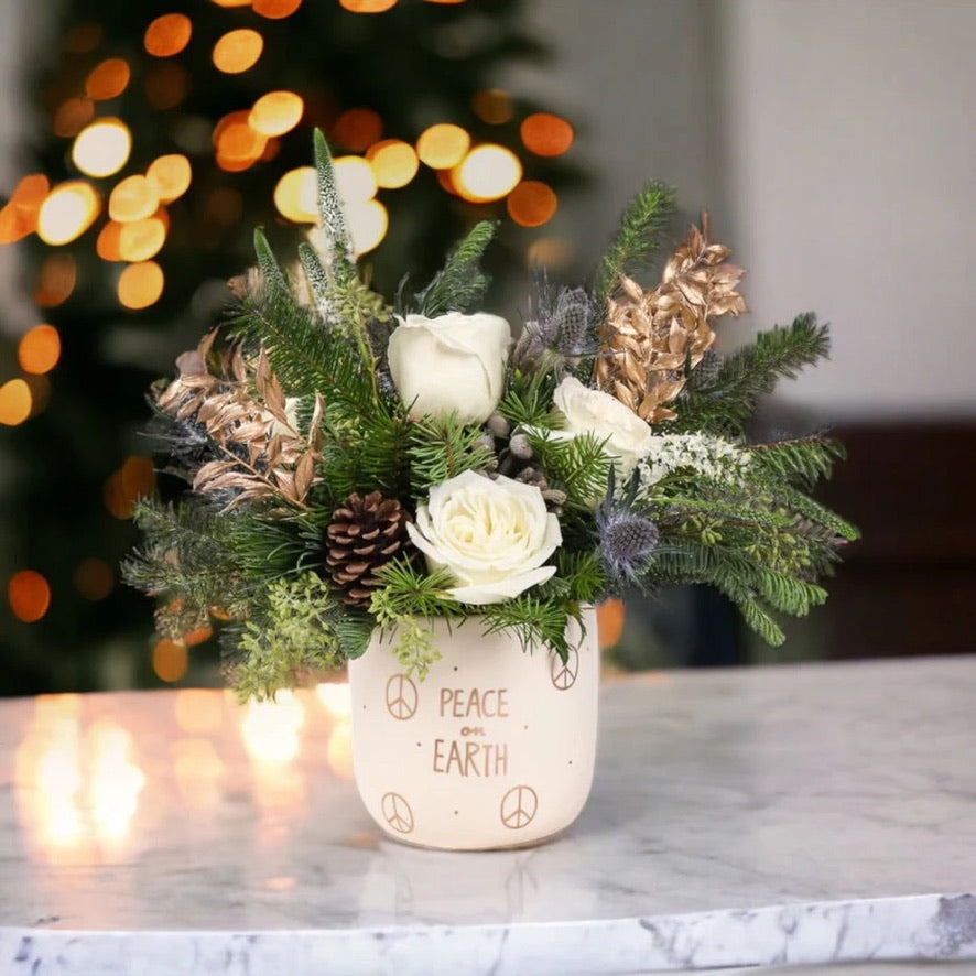 The Complete Holiday 2025 Collection