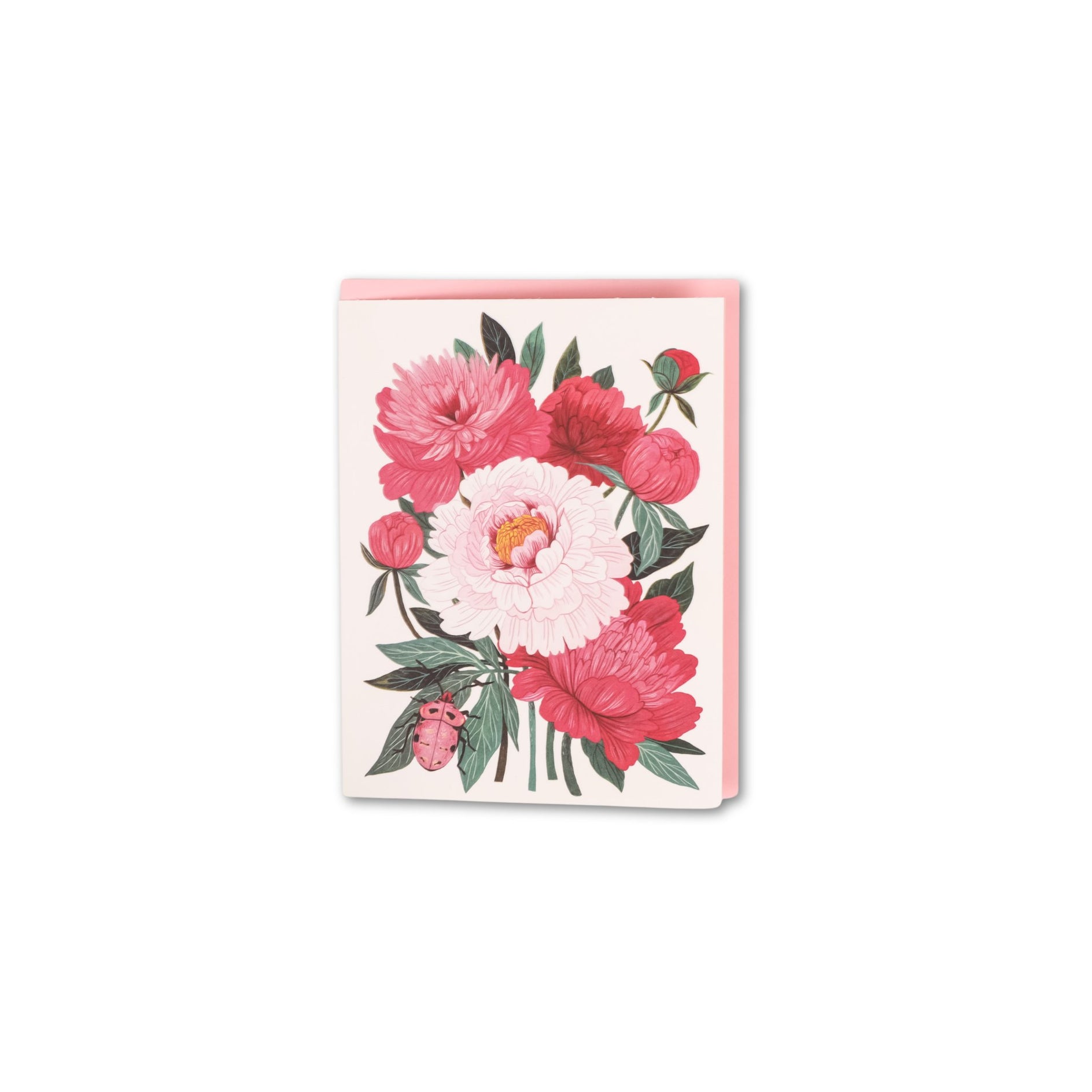 Order Greeting Cards Online from Green Fresh Florals + Plants