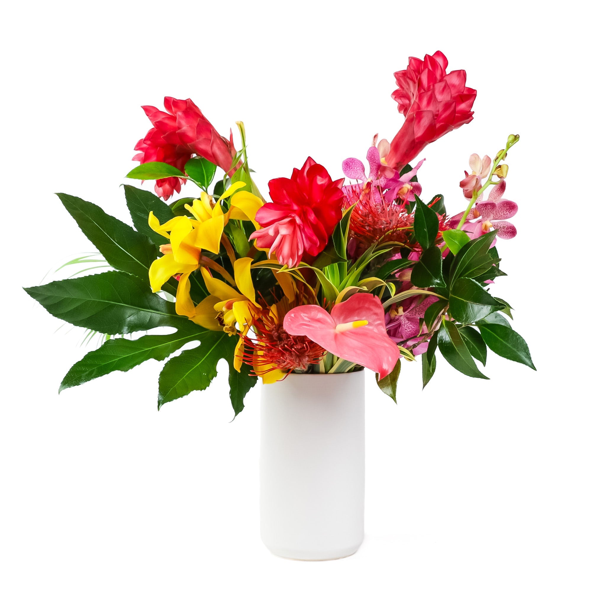 Tropical Flowers Collection - Green Fresh Florals + Plants