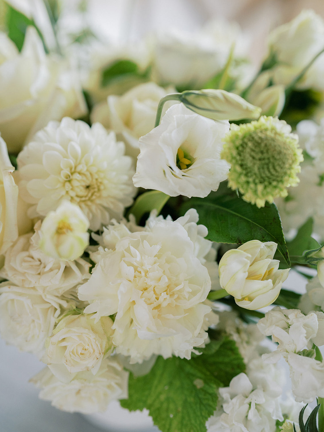 A la Carte White Wedding from Green Fresh Florals + Plants