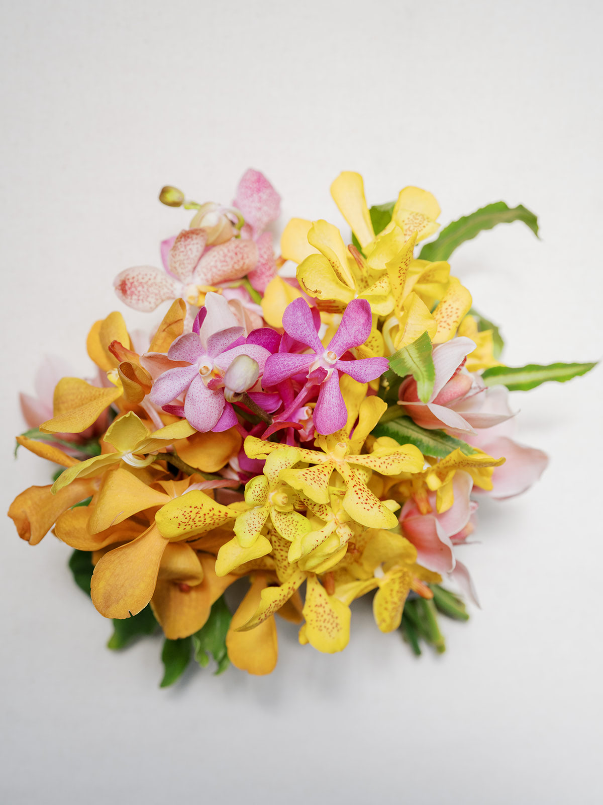 Tropical Orchids A la Carte Wedding Flowers from Green Fresh Florals + Plants