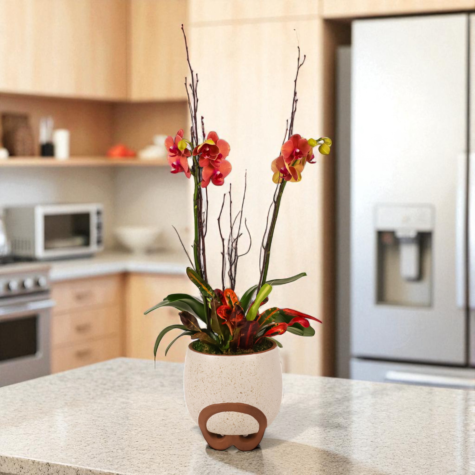 Autumn Orchid Planting from Green Fresh Florals + Plants