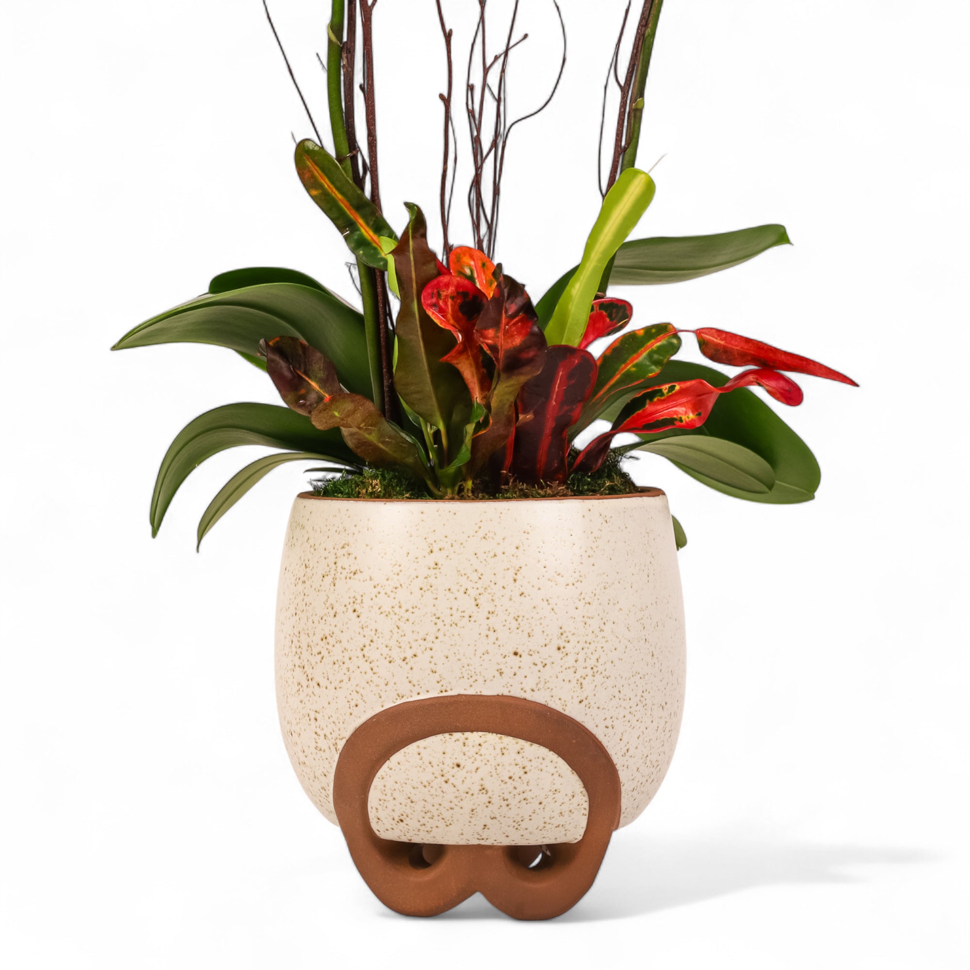 Decorative plant in a textured pot with wooden accents on a white background
