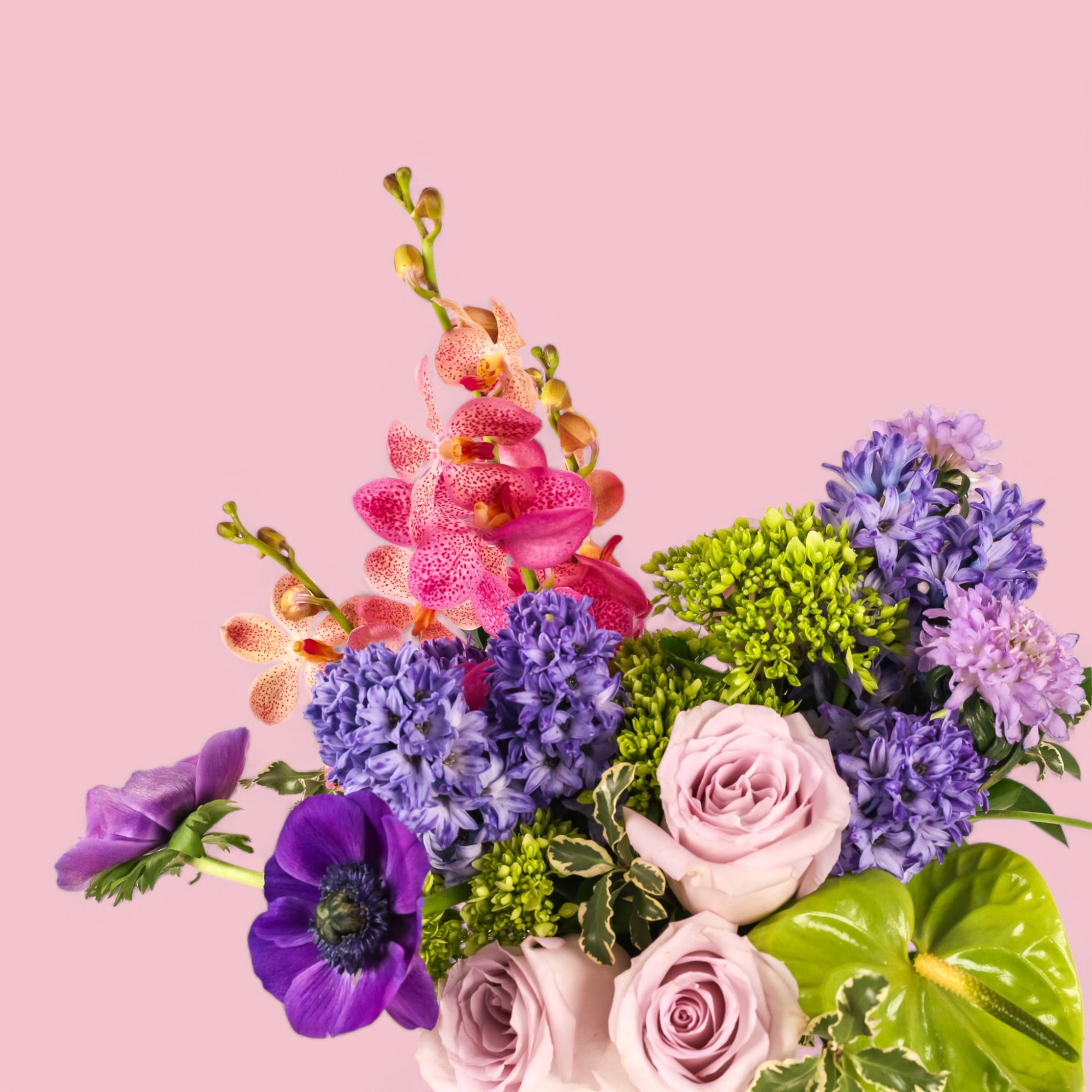 Blueberry Crush Floral from Green Fresh Florals + Plants