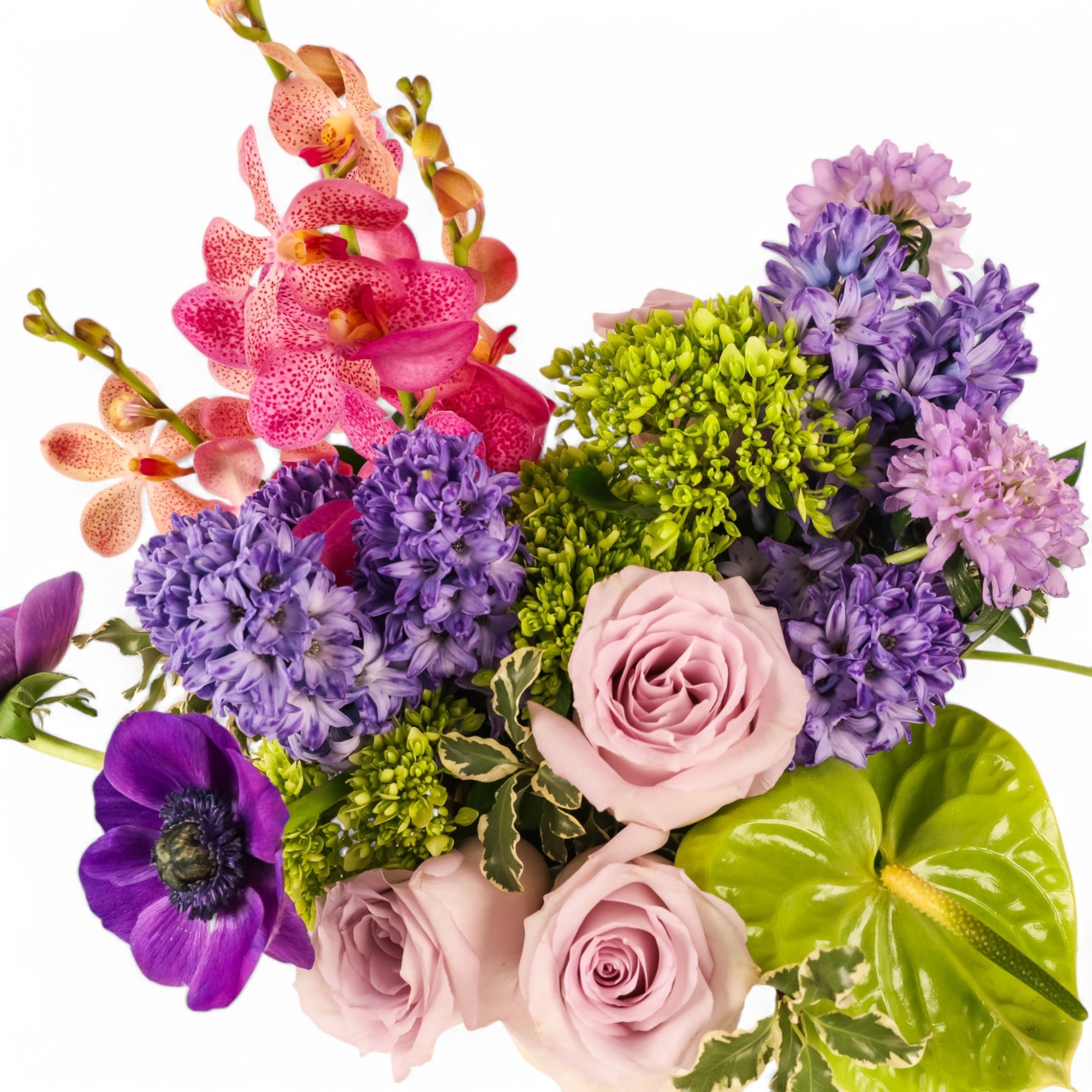Blueberry Crush Floral from Green Fresh Florals + Plants