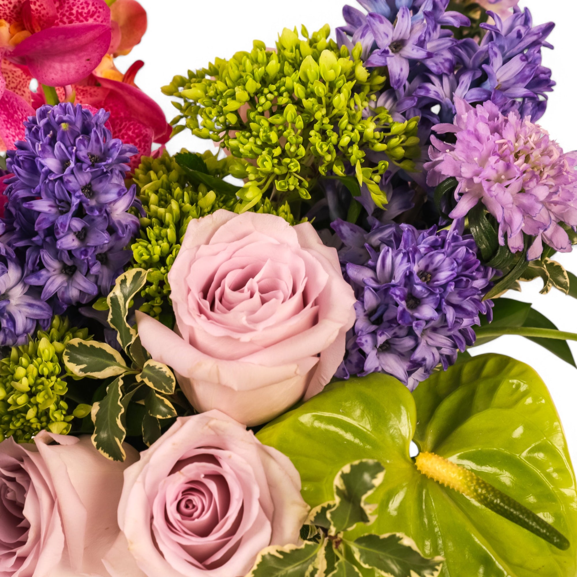 Blueberry Crush Floral from Green Fresh Florals + Plants