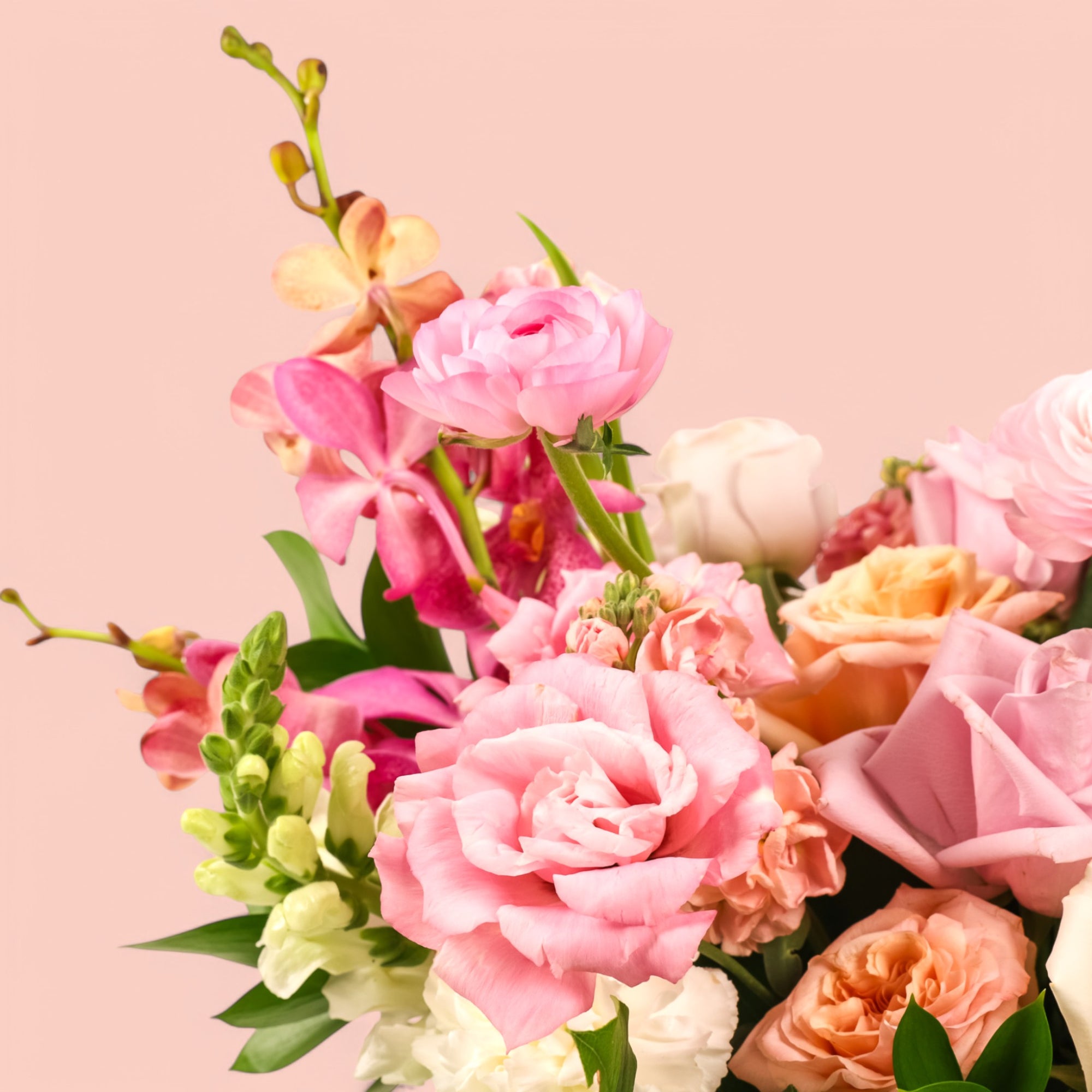 Blush Enchantment Designer Floral from Green Fresh Florals + Plants