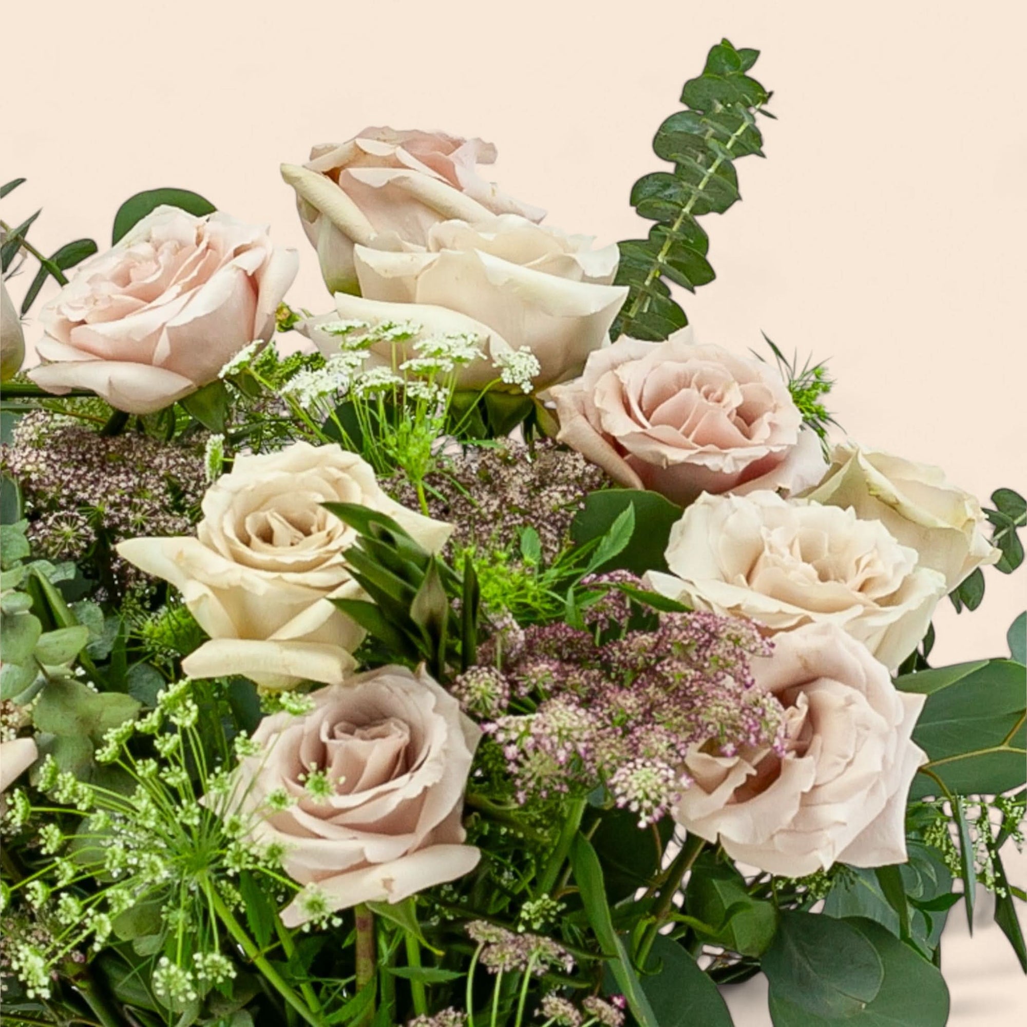 Blush Long Stem Roses from Green Fresh Florals + Plants