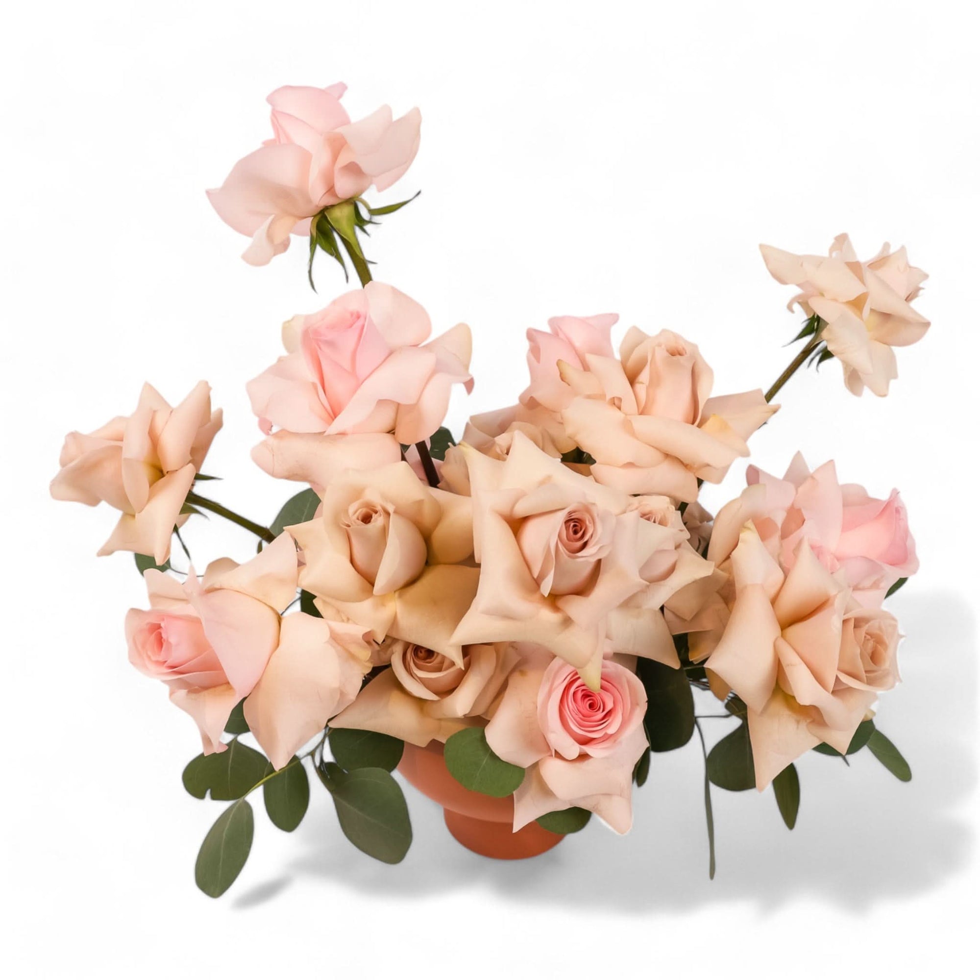Blushing Rose Floral from Green Fresh Florals + Plants