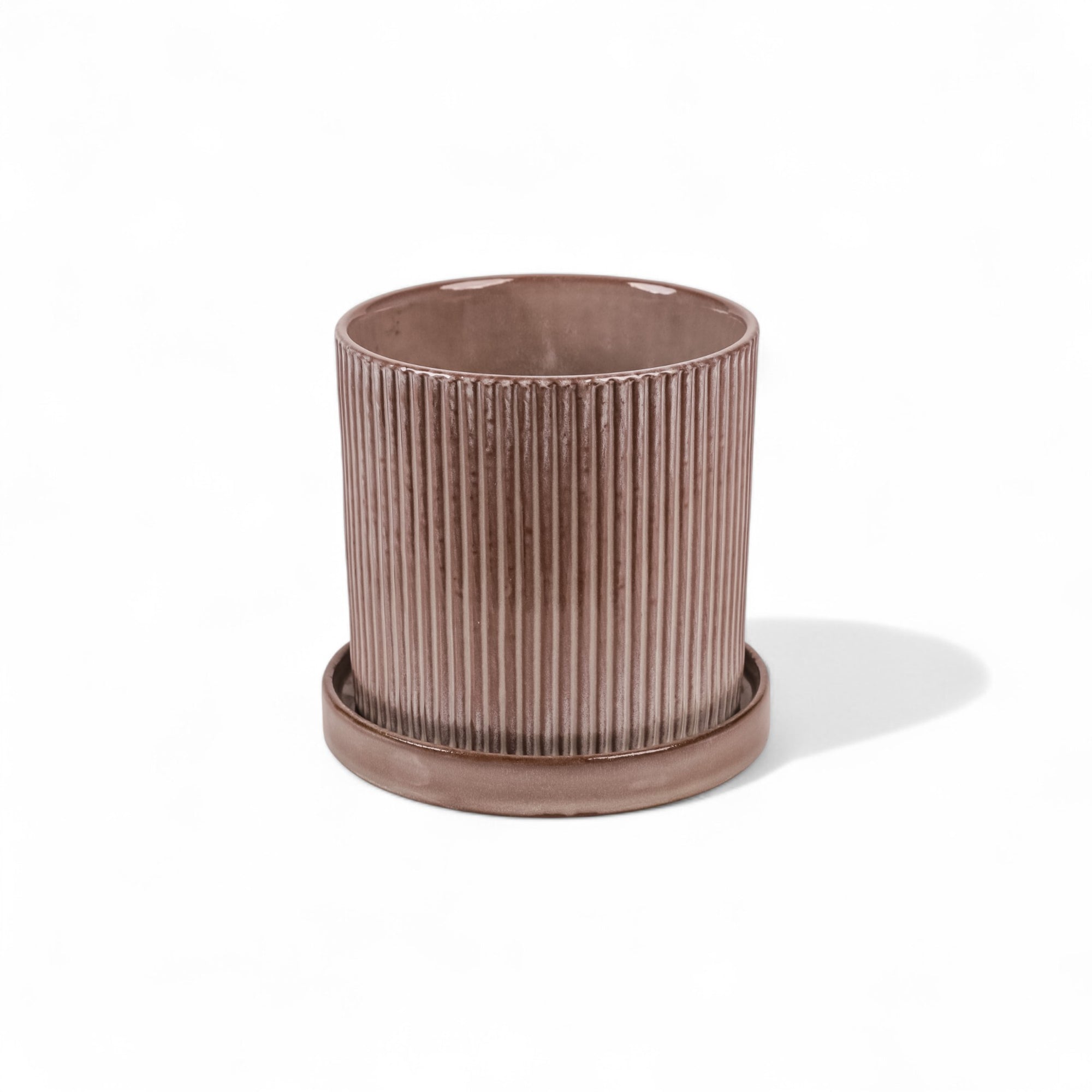 Curio Pot with Saucer from Green Fresh Florals + Plants