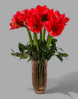 Elegant Amaryllis Designer Floral