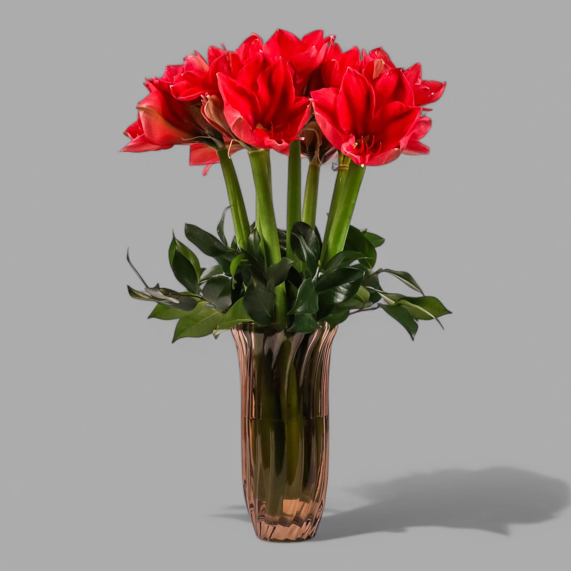 Elegant Amaryllis Designer Floral