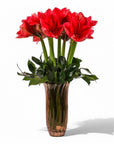 Elegant Amaryllis Designer Floral