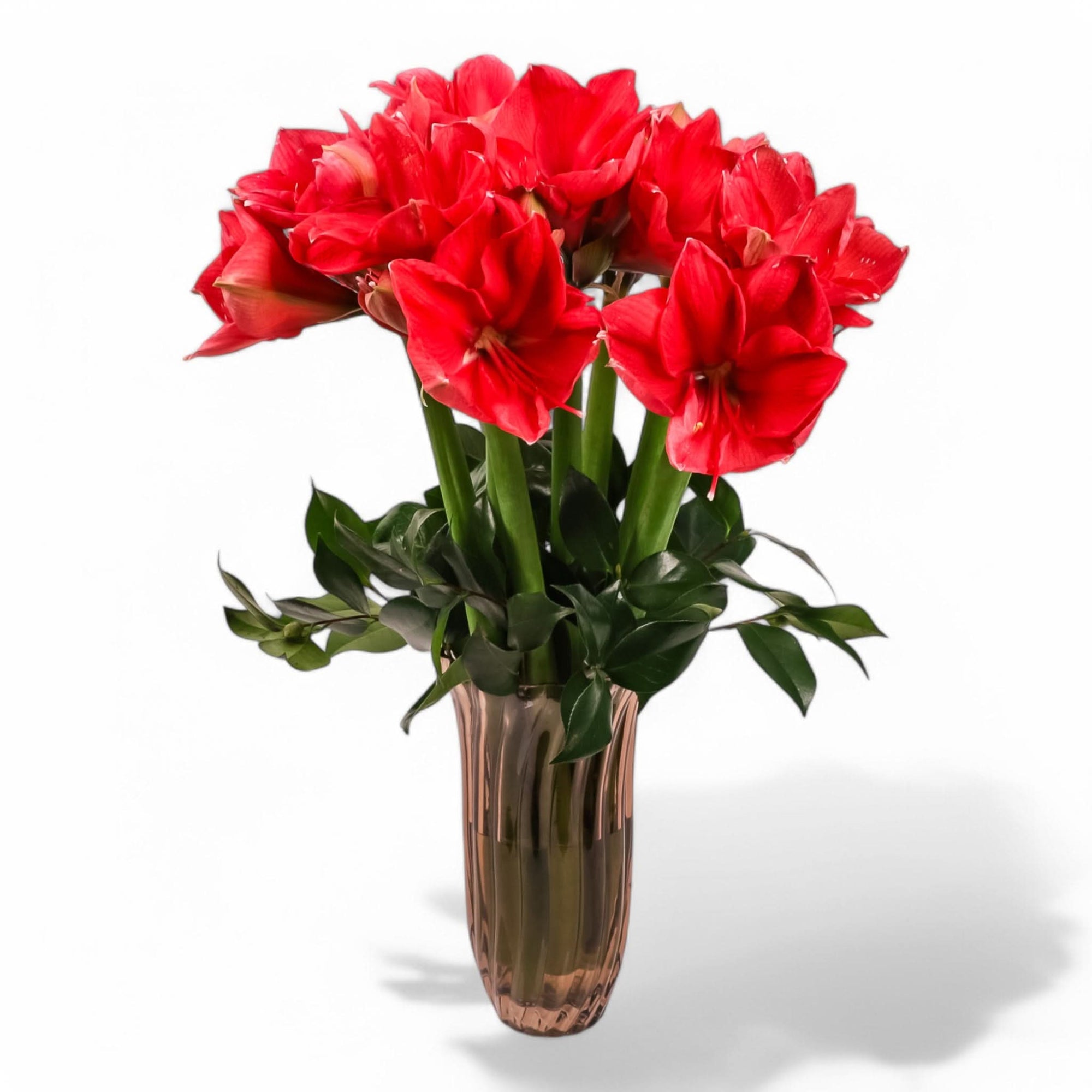 Elegant Amaryllis Designer Floral