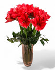 Elegant Amaryllis Designer Floral