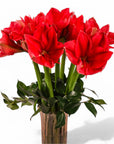 Elegant Amaryllis Designer Floral