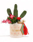 Festive Fiesta Cactus Planting