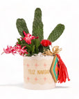 Festive Fiesta Cactus Planting