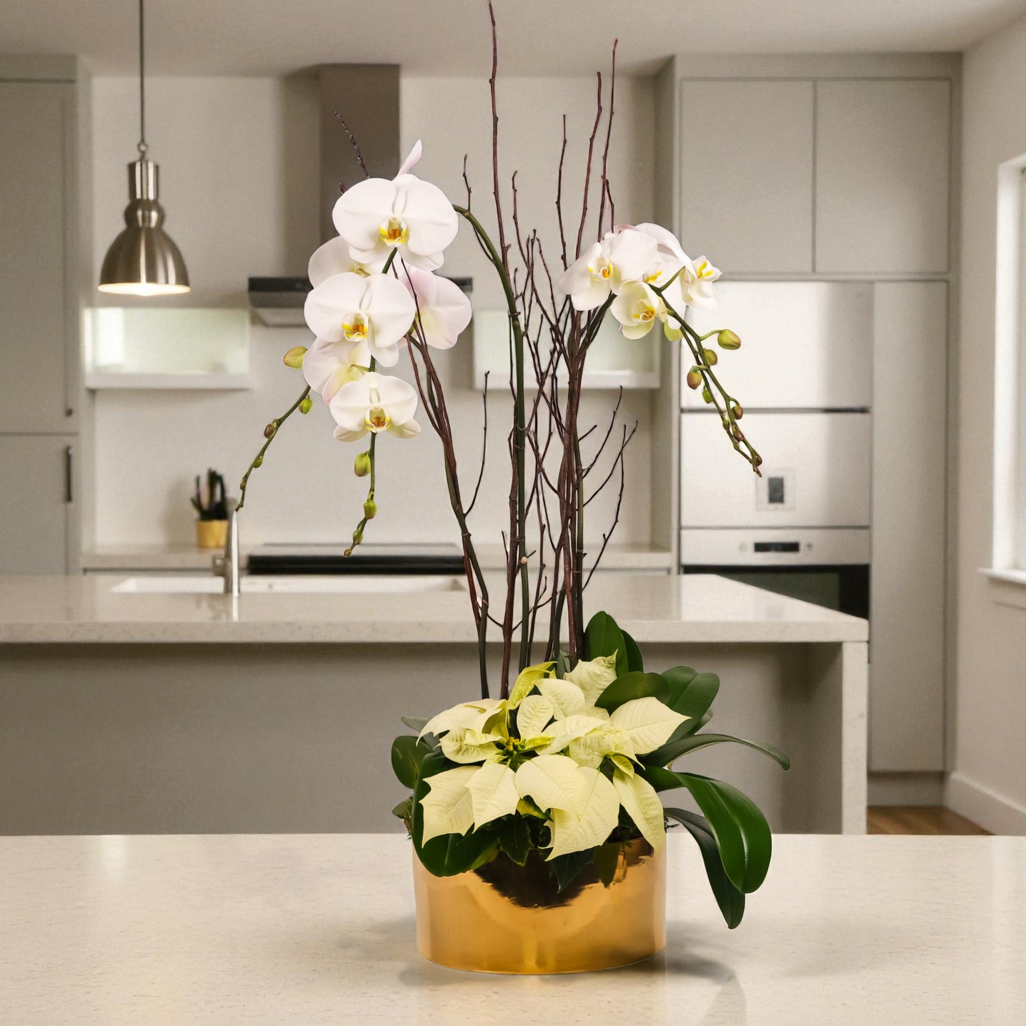 Gold Holiday Elegance Orchid Pairing from Green Fresh Florals + Plants