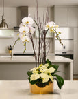 Gold Holiday Elegance Orchid Pairing from Green Fresh Florals + Plants