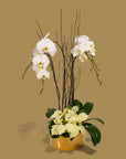 Gold Holiday Elegance Orchid Pairing from Green Fresh Florals + Plants