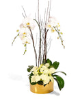 Gold Holiday Elegance Orchid Pairing from Green Fresh Florals + Plants