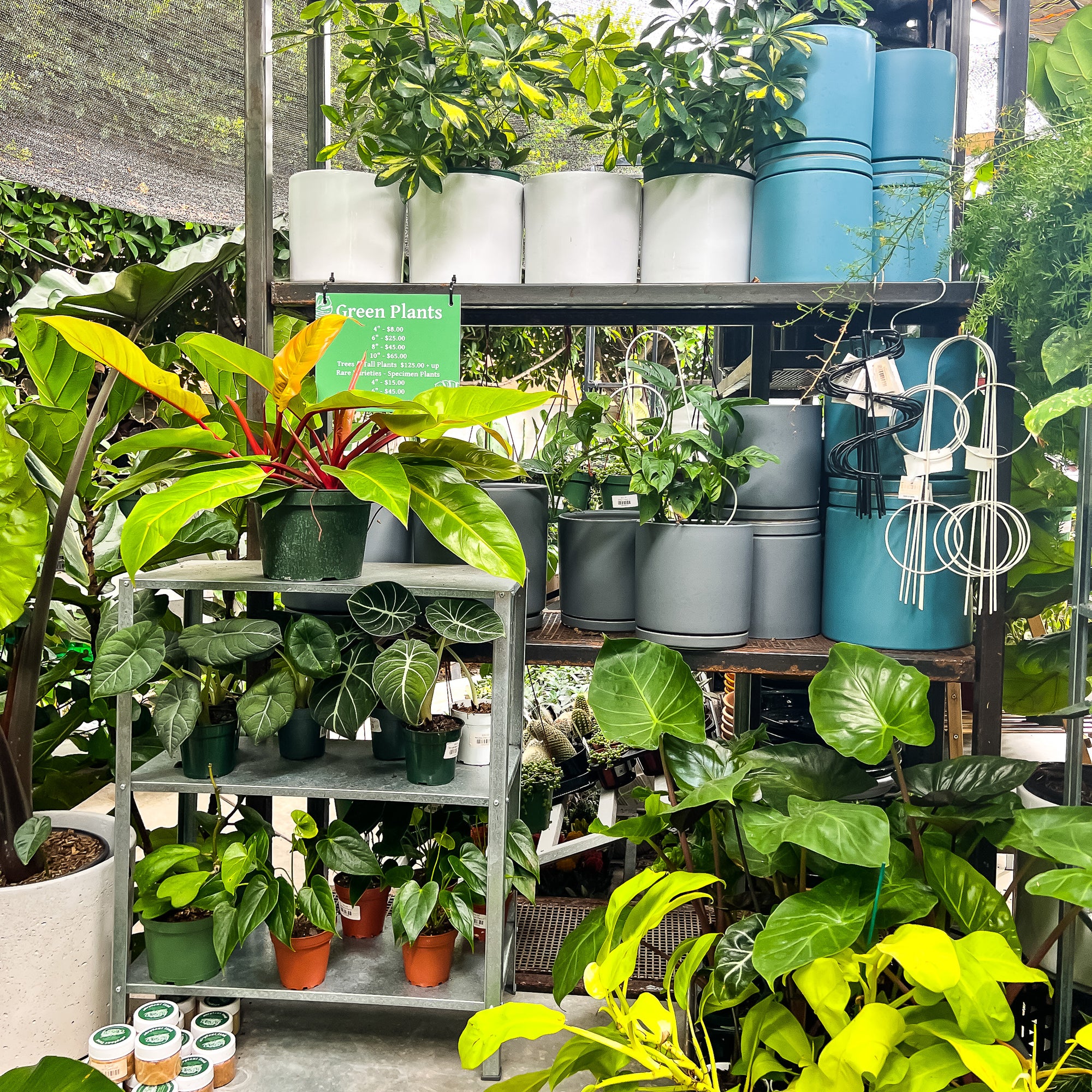 A photograph of plants, pots, and plant accessories on the outdoor garden patio at Green Fresh Florals + Plants in Hillcrest