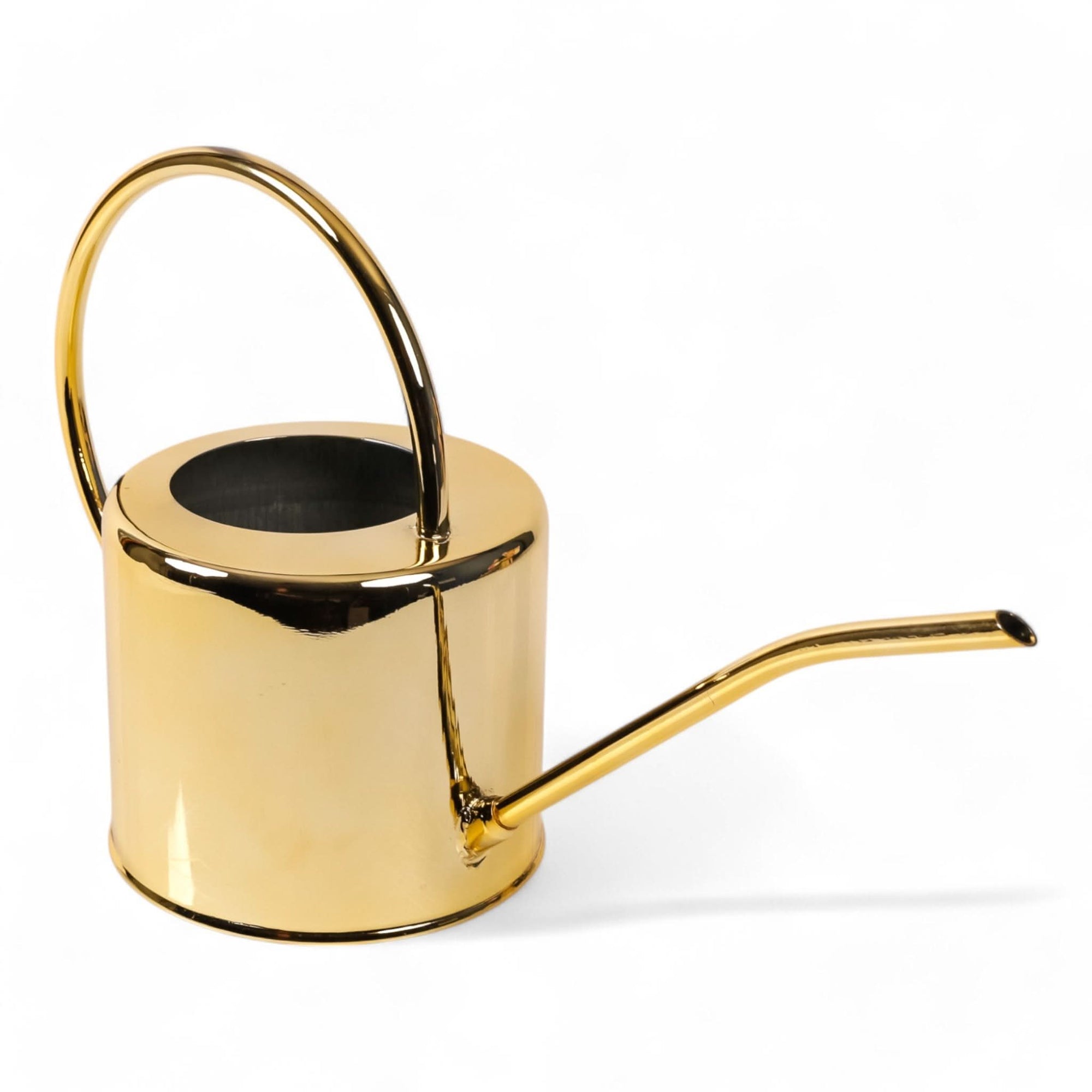 Henri Watering Can From Green Fresh Florals + Plants