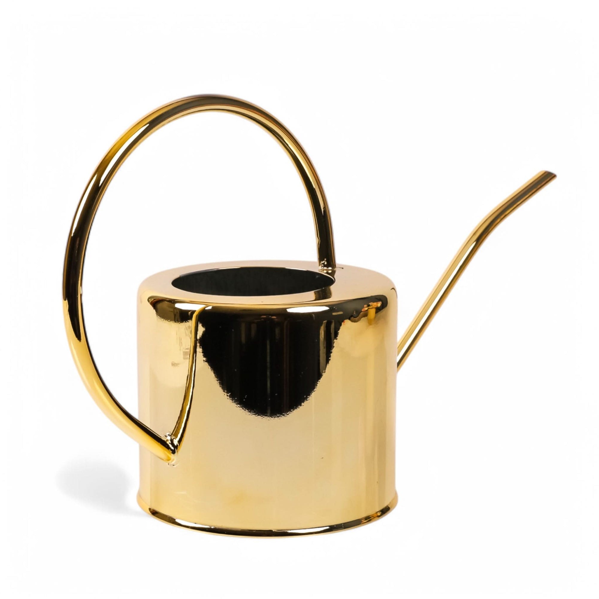 Henri Watering Can From Green Fresh Florals + Plants