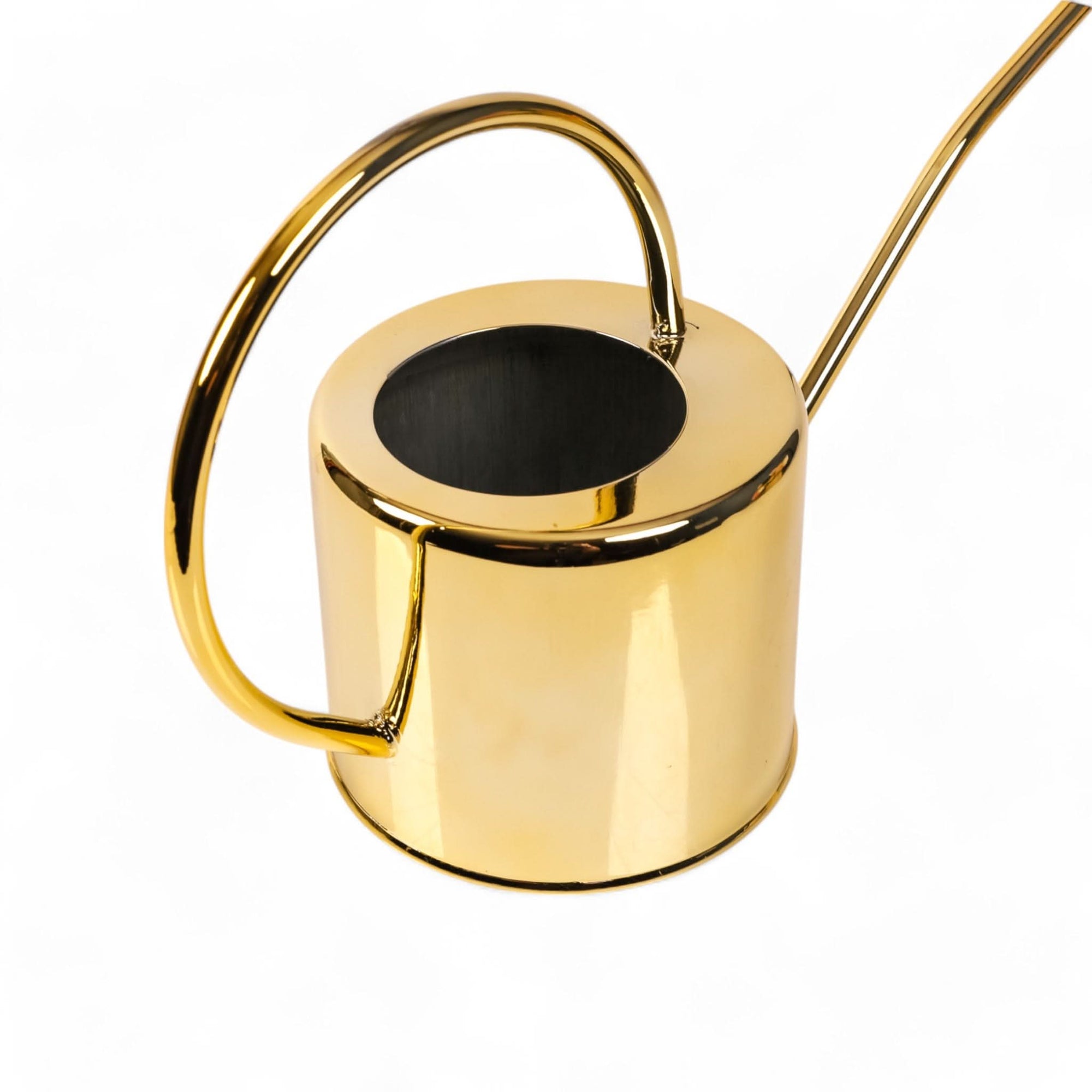 Henri Watering Can From Green Fresh Florals + Plants