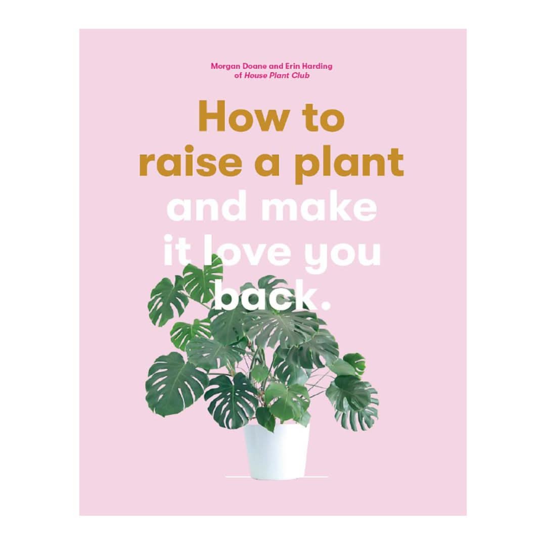 How to Raise a Plant (and Make It Love You Back)