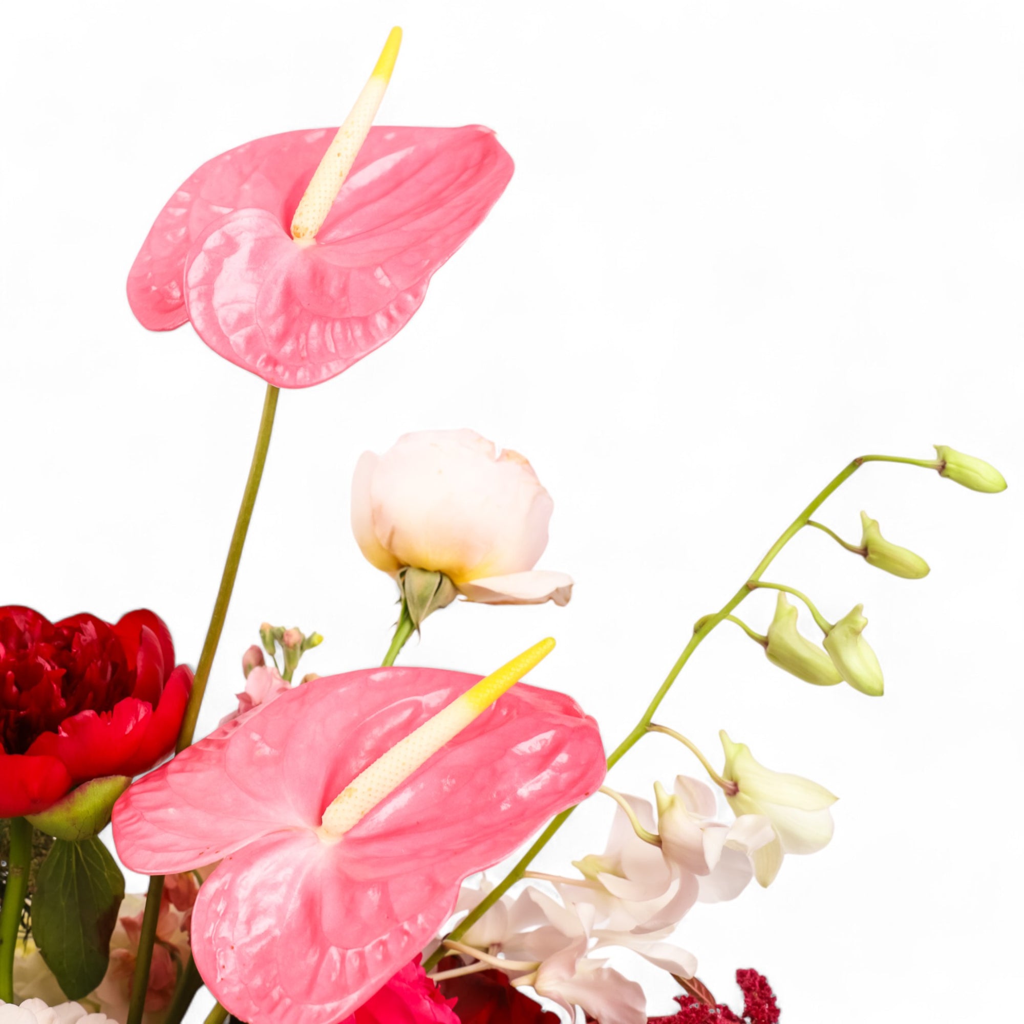 Love Bomb Designer Floral from Green Fresh Florals + Plants