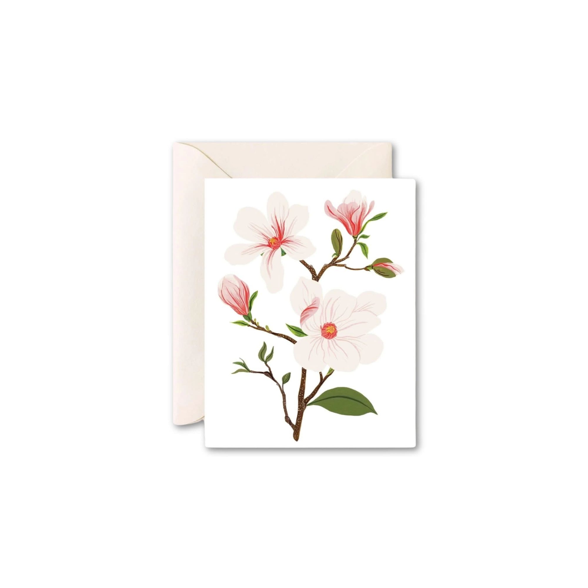 Magnolia Branch Greeting Card from Green Fresh Florals + Plants
