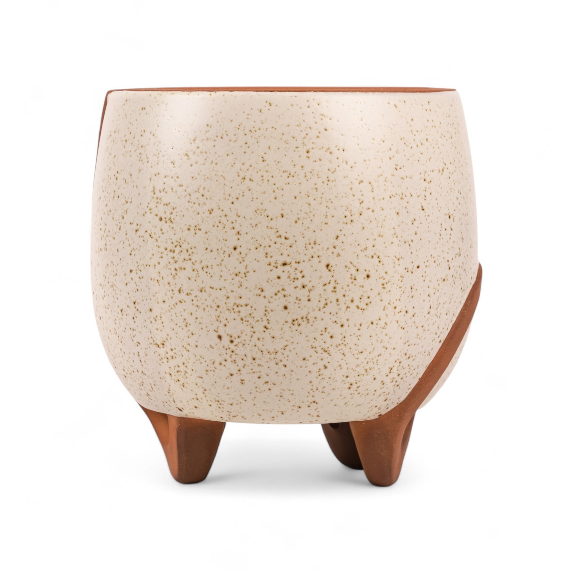 Medium Omni Footed Pot from Green Fresh Florals + Plants